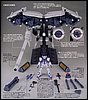 Dendrobium_HGUC_1-144_04.jpg